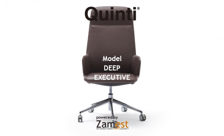 Deep Executive by Quinti