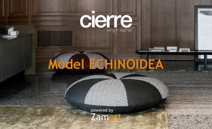 Echinoidea by Cierre